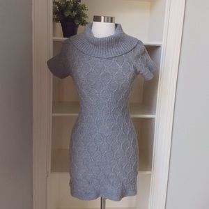 Banana Republic Extra Fine Merino Sweater Dress